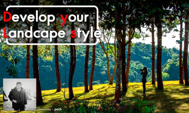 Develop your Landscape style