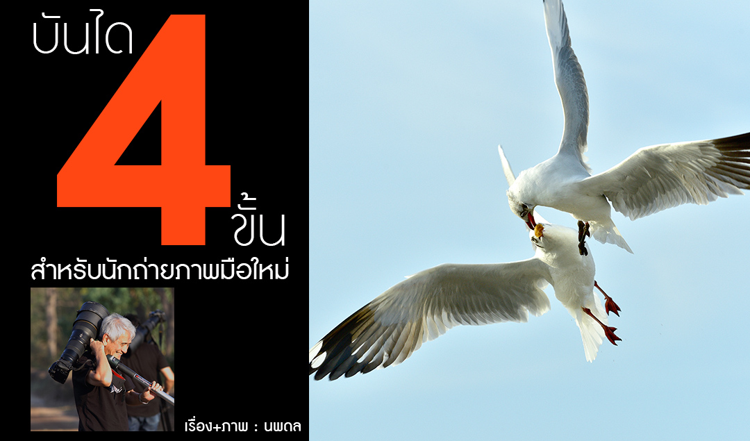 บันได 4 ขั้น สำหรับนักถ่ายภาพมือใหม่