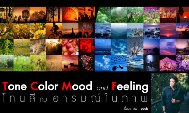 Tone color Mood and Feeling โทนสีกับอารมณ์ในภาพ