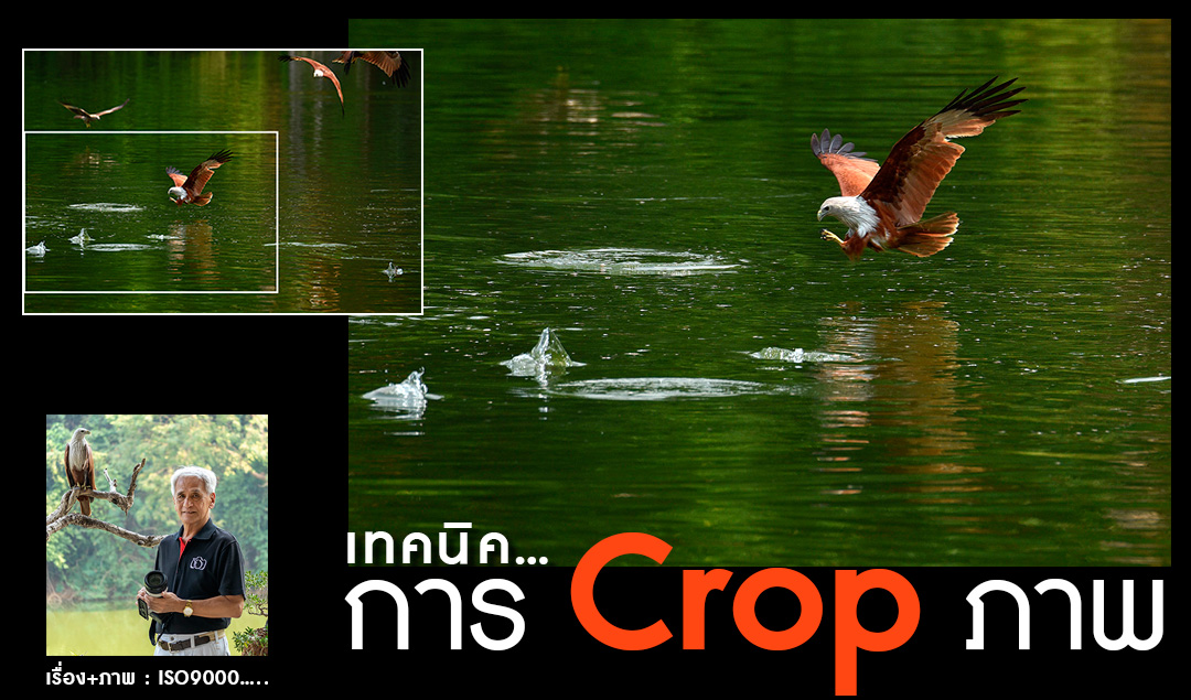 เทคนิคการ Crop ภาพ