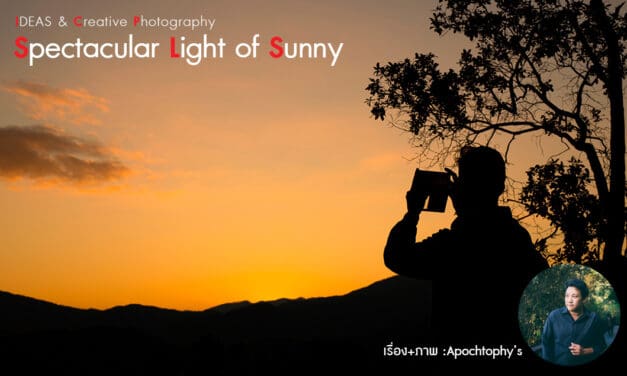 IDEAS & Creative Photography_Spectacular Light of Sunny