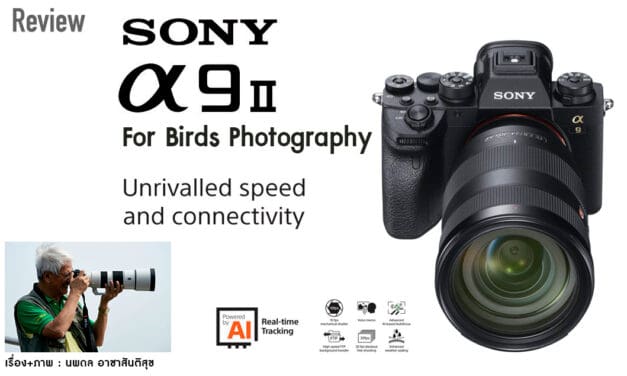 Review SONY α9 II FOR BIRDS PHOTOGRAPHY