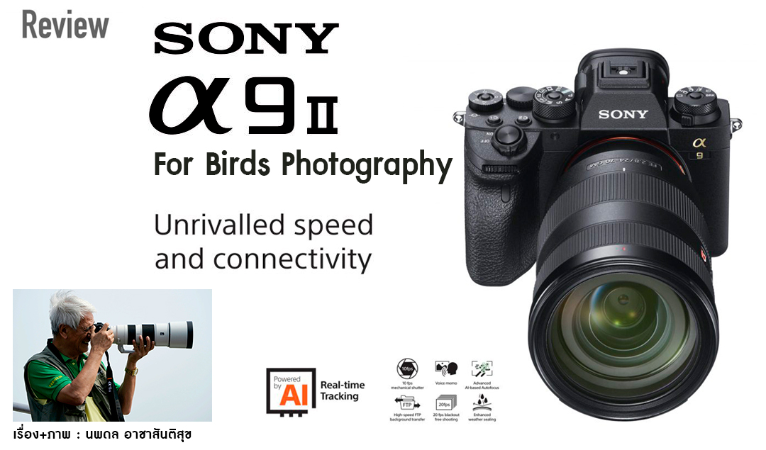 Review SONY α9 II FOR BIRDS PHOTOGRAPHY