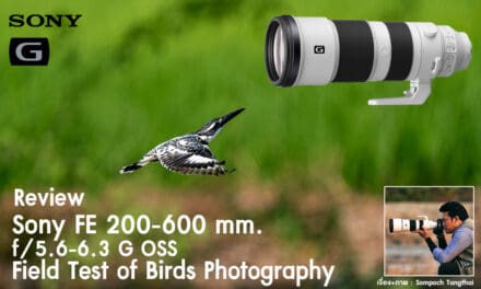 Review Sony FE 200-600mm f/5.6-6.3 G OSS Field Test of Birds Photography