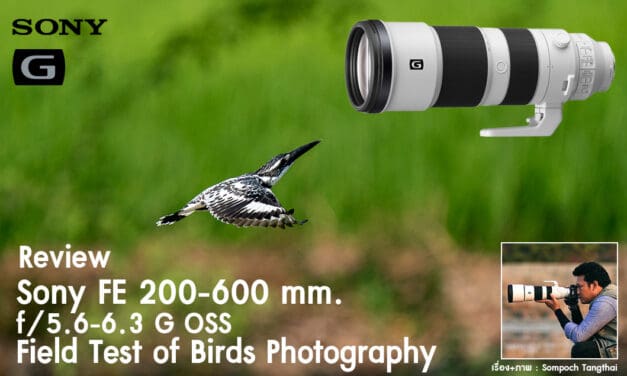 Review Sony FE 200-600mm f/5.6-6.3 G OSS Field Test of Birds Photography
