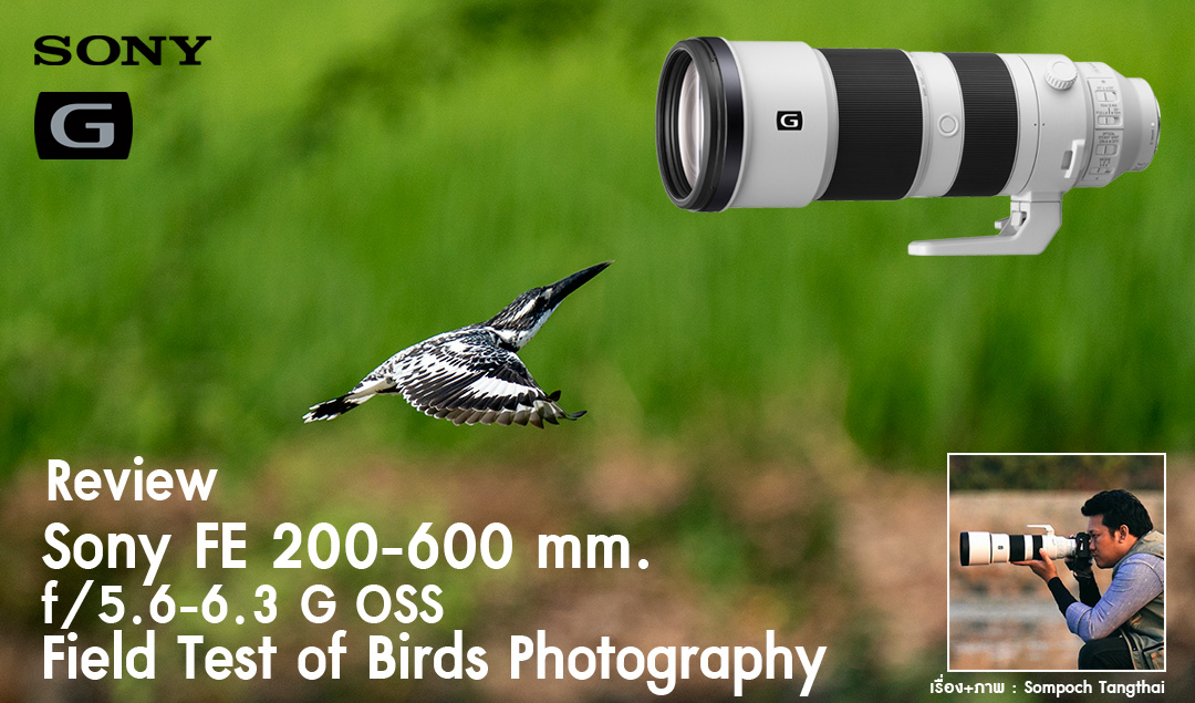 Review Sony FE 200-600mm f/5.6-6.3 G OSS Field Test of Birds Photography