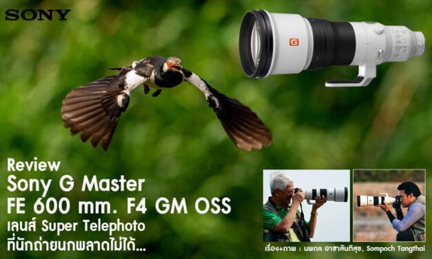 Review Sony G Master FE 600 mm. F4 GM OSS เลนส์ Super Telephoto ที่นักถ่ายภาพนกพลาดไม่ได้