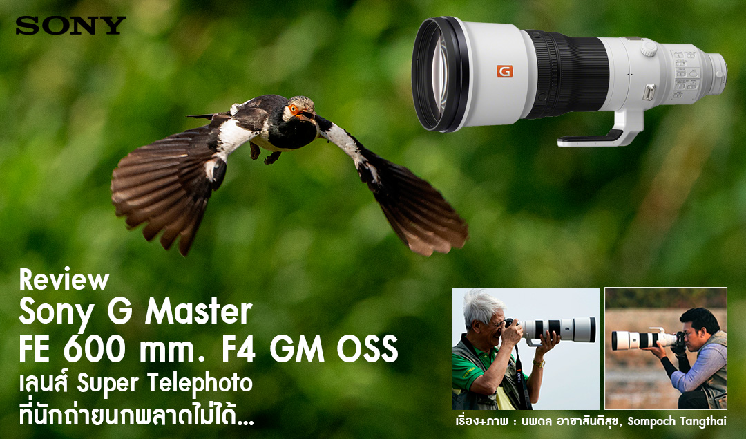 Review Sony G Master FE 600 mm. F4 GM OSS เลนส์ Super Telephoto ที่นักถ่ายภาพนกพลาดไม่ได้