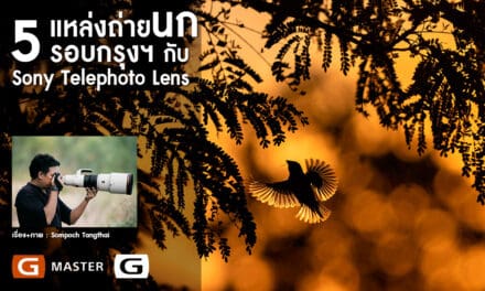 5 แหล่งถ่ายนกรอบกรุงฯ กับ Sony Telephoto Lens