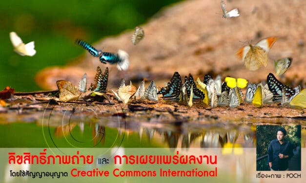 ลิขสิทธิ์ภาพถ่ายและการเผยแพร่ผลงาน โดยใช้สัญญาอนุญาต Creative Commons International