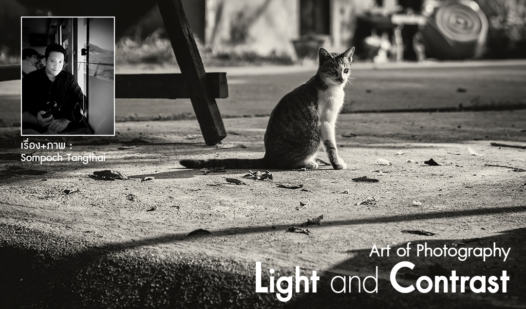 Art of Photography_Light and contrast