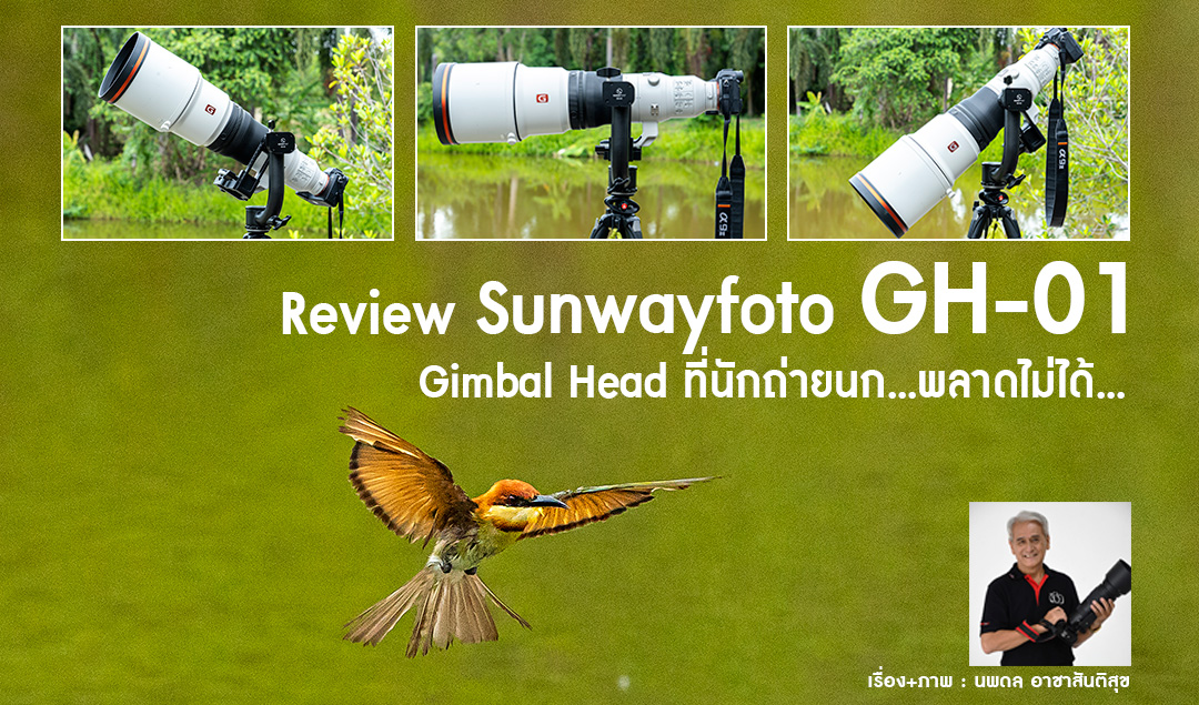 Review Sunwayfoto GH-01 Gimbal Head ที่นักถ่ายนก…พลาดไม่ได้…