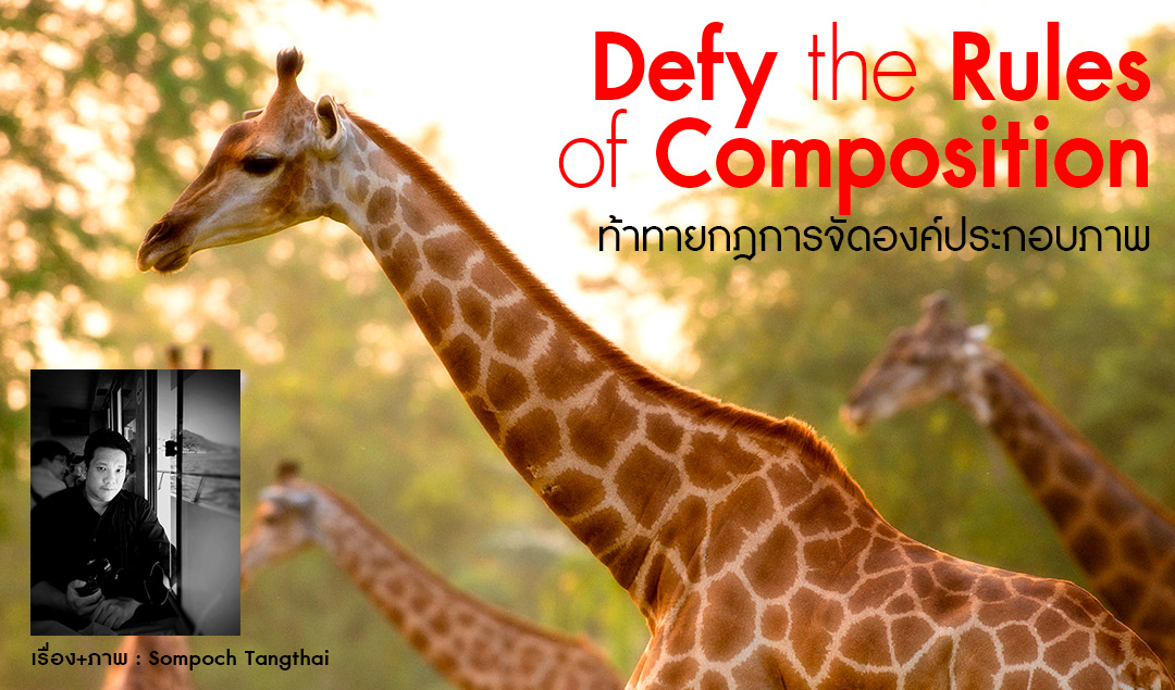 Defy the rules of Composition ท้าทายกฎการจัดองค์ประกอบภาพ