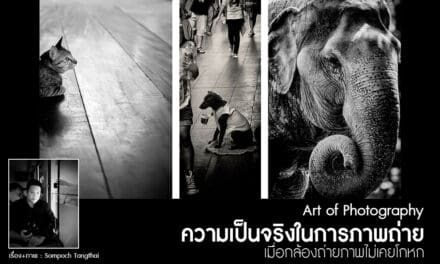 Art of Photography_ความเป็นจริงในการภาพถ่าย เมื่อกล้องถ่ายภาพไม่เคยโกหก