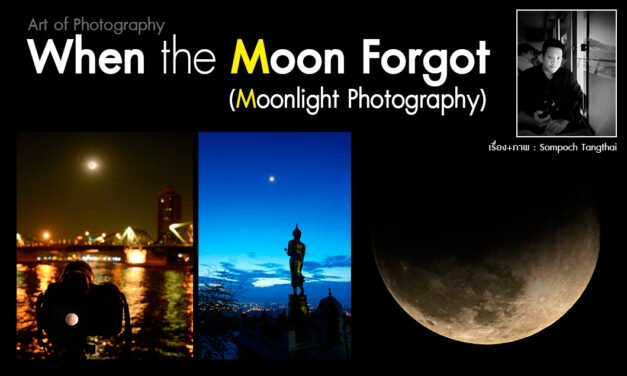 Art of Photography_ When the Moon Forgot (Moonlight Photography)