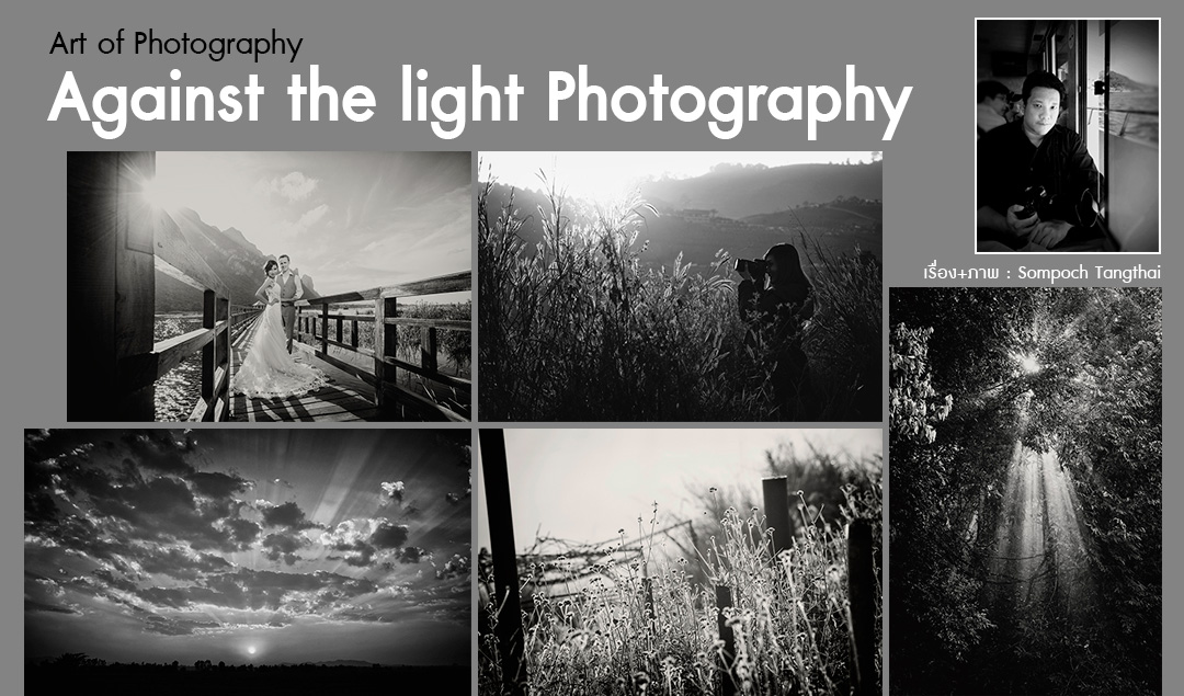 Art of Photography_Against the light Photography