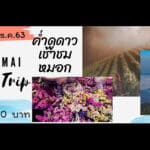 Chang Mai Photo Trip ค่ำดูดาว เช้าชมหมอก