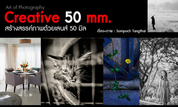Art of Photography _Creative 50 mm. สร้างสรรค์ภาพด้วยเลนส์ 50 มิล
