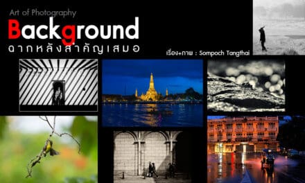 Art of Photography_Background ฉากหลังสำคัญเสมอ