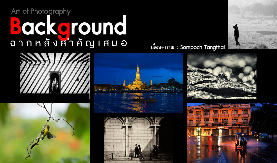 Art of Photography_Background ฉากหลังสำคัญเสมอ