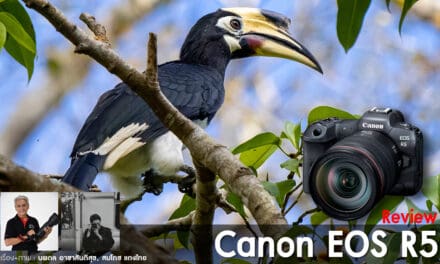 Review Canon EOS R5