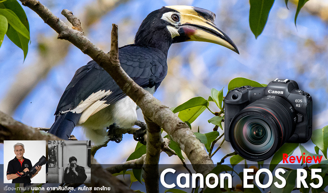 Review Canon EOS R5