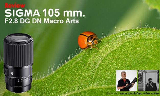 Review Sigma 105 mm. F2.8 DG DN Macro Arts