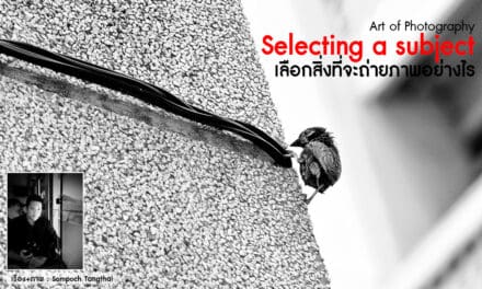 Art of Photography_Selecting a subject เลือกสิ่งที่จะถ่ายภาพอย่างไร