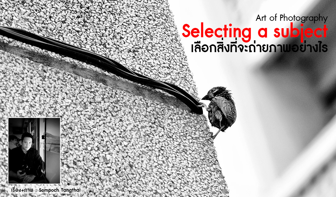 Art of Photography_Selecting a subject เลือกสิ่งที่จะถ่ายภาพอย่างไร