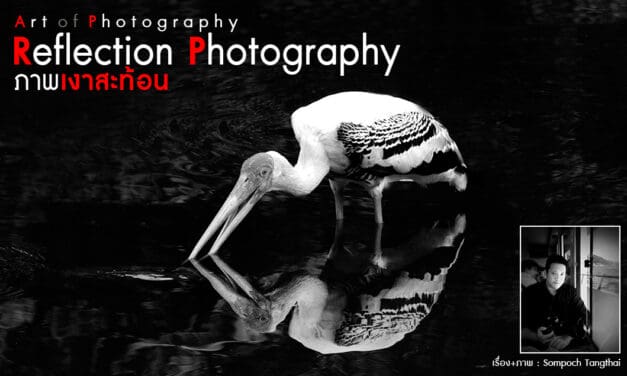 Art of Photography_Reflection Photography (ภาพเงาสะท้อน)