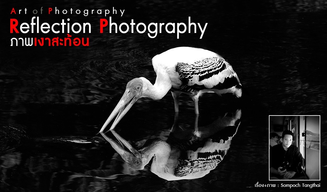 Art of Photography_Reflection Photography (ภาพเงาสะท้อน)