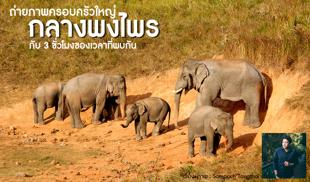 ถ่ายภาพครอบครัวใหญ่ กลางพงไพร กับ 3 ชั่วโมงของเวลาที่พบกัน