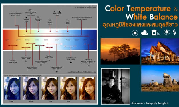 Color temperature & White Balance อุณหภูมิสีของแสงและสมดุลสีขาว