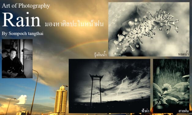 Art of Photography_ Rain มองหาศิลปะในหน้าฝน