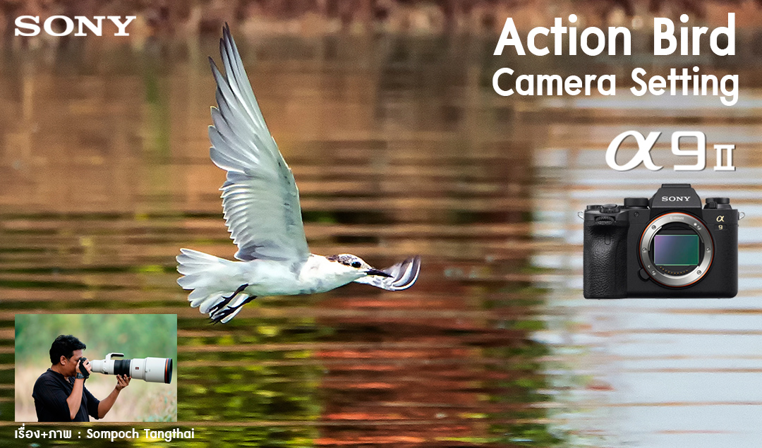 Action Bird Camera Setting a9II