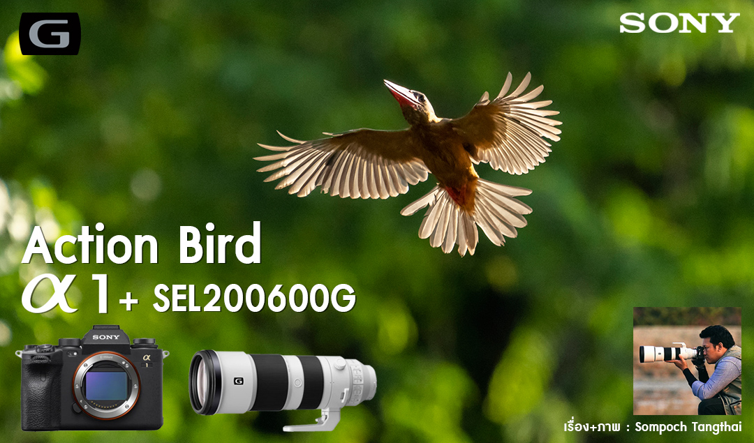 Action Bird Alpha 1 + SEL200600G