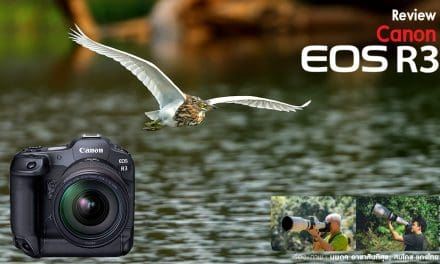 Review Canon EOS R3