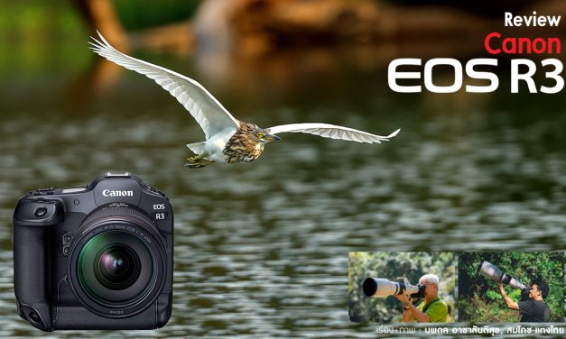 Review Canon EOS R3
