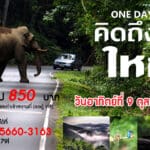 One Day Trip คิดถึงเขาใหญ่