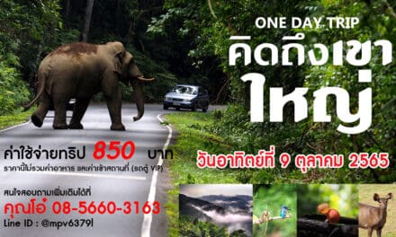 One Day Trip คิดถึงเขาใหญ่