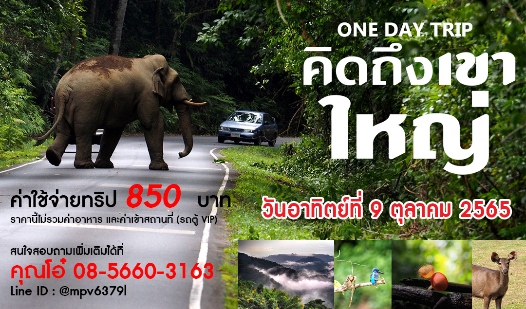 One Day Trip คิดถึงเขาใหญ่