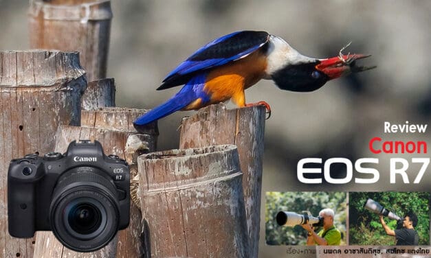 Review Canon EOS R7